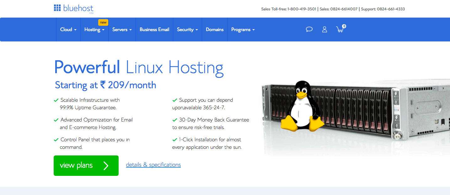 bluehost shared linux hosting