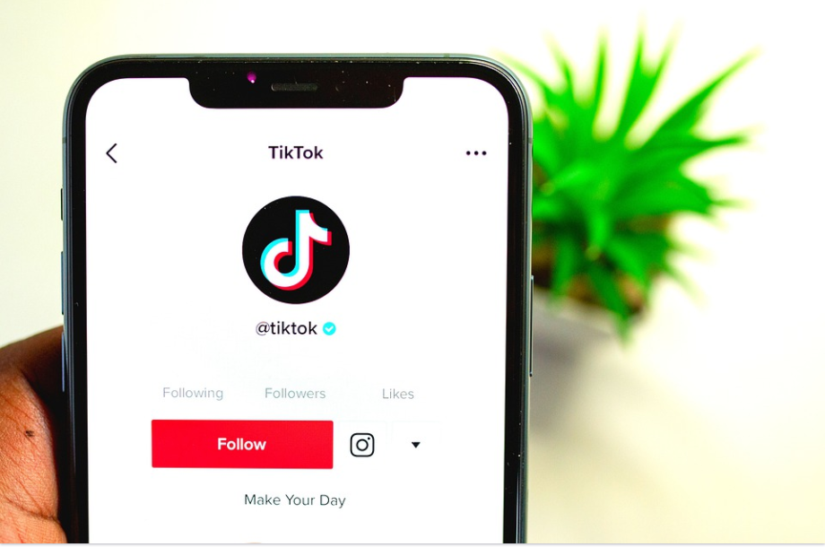 Tiktok - How To Get Famous on TikTok