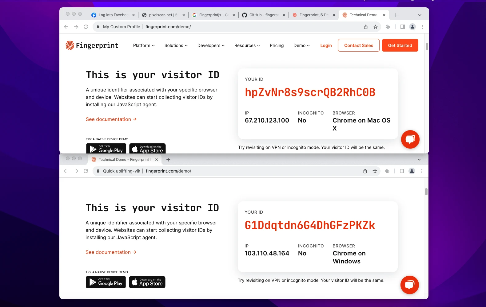 Two Octo Browser profiles with unique fingerprints passing Pixelscan and BrowserLeaks detection checkers