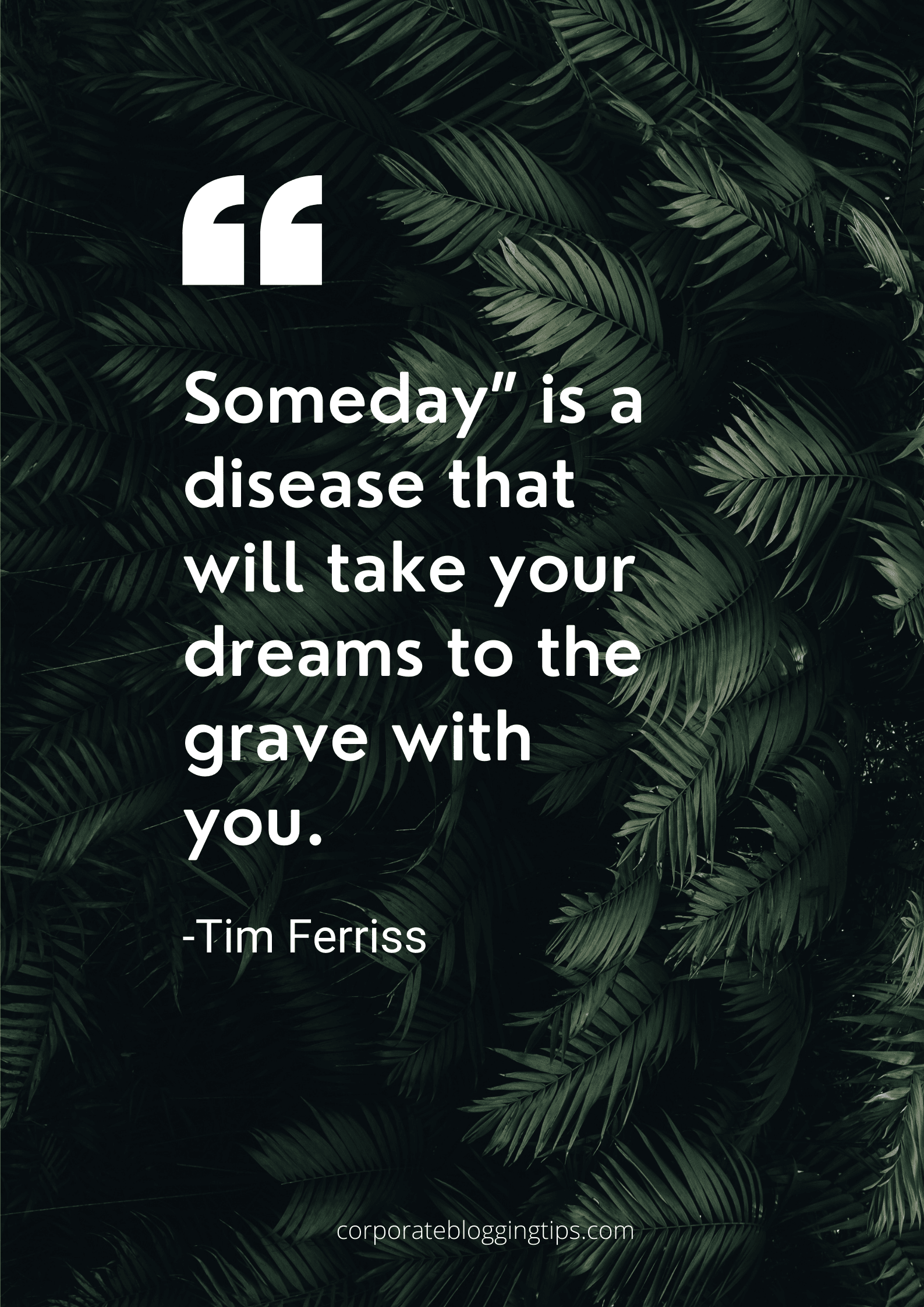 Tim Ferriss words