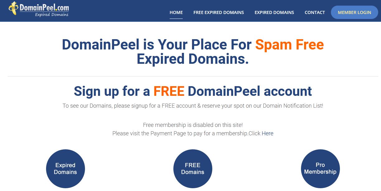 Domainpeel.com website
